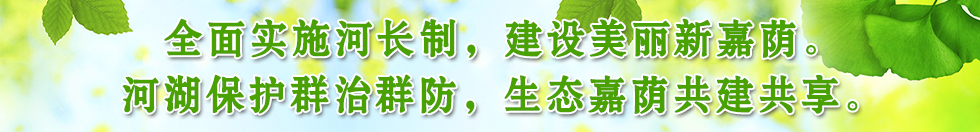 全面實施河長制